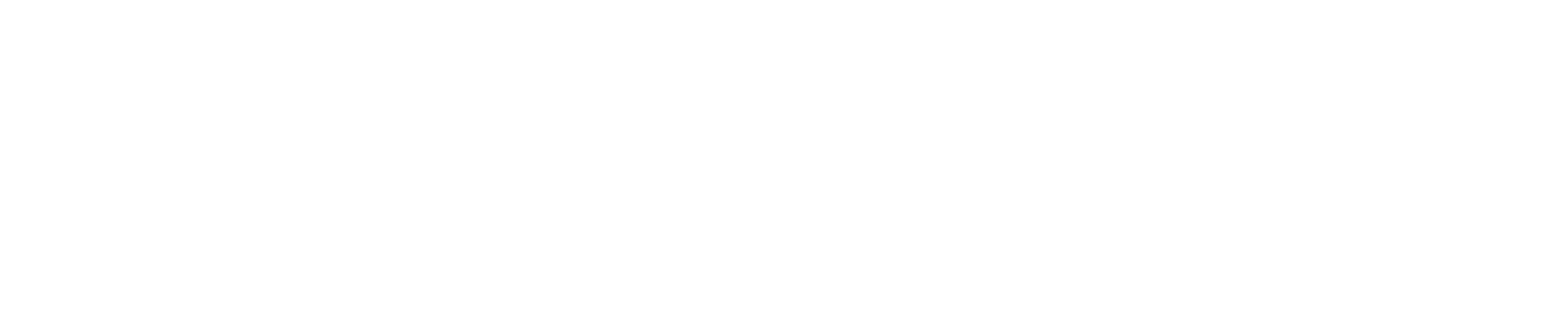 Paradisus Viagens